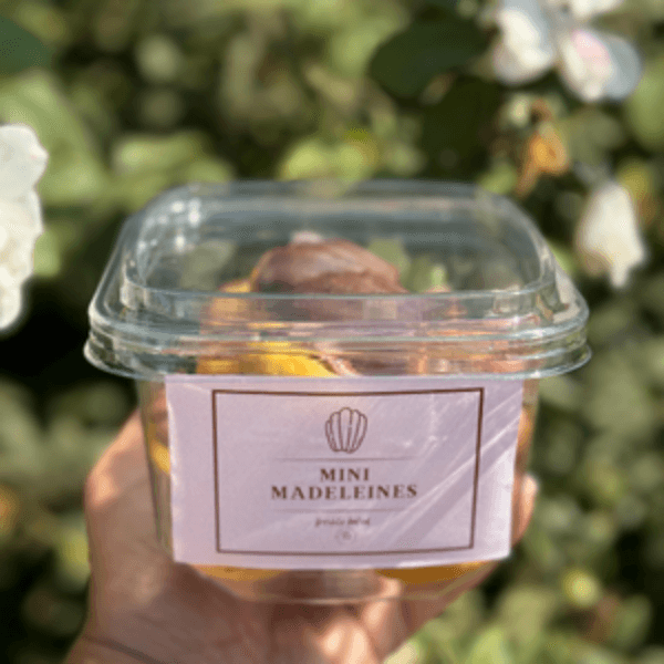 MADELEINES CHOCOLAT 15 PCS