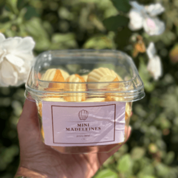 MADELEINES NOIX DE COCO 15 PCS