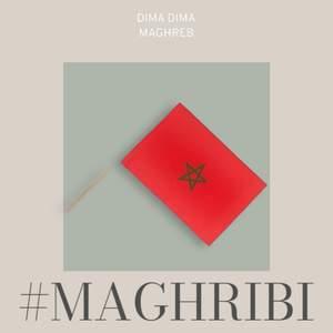 Drapeau Maroc taille moyenne 28 x 19 cm