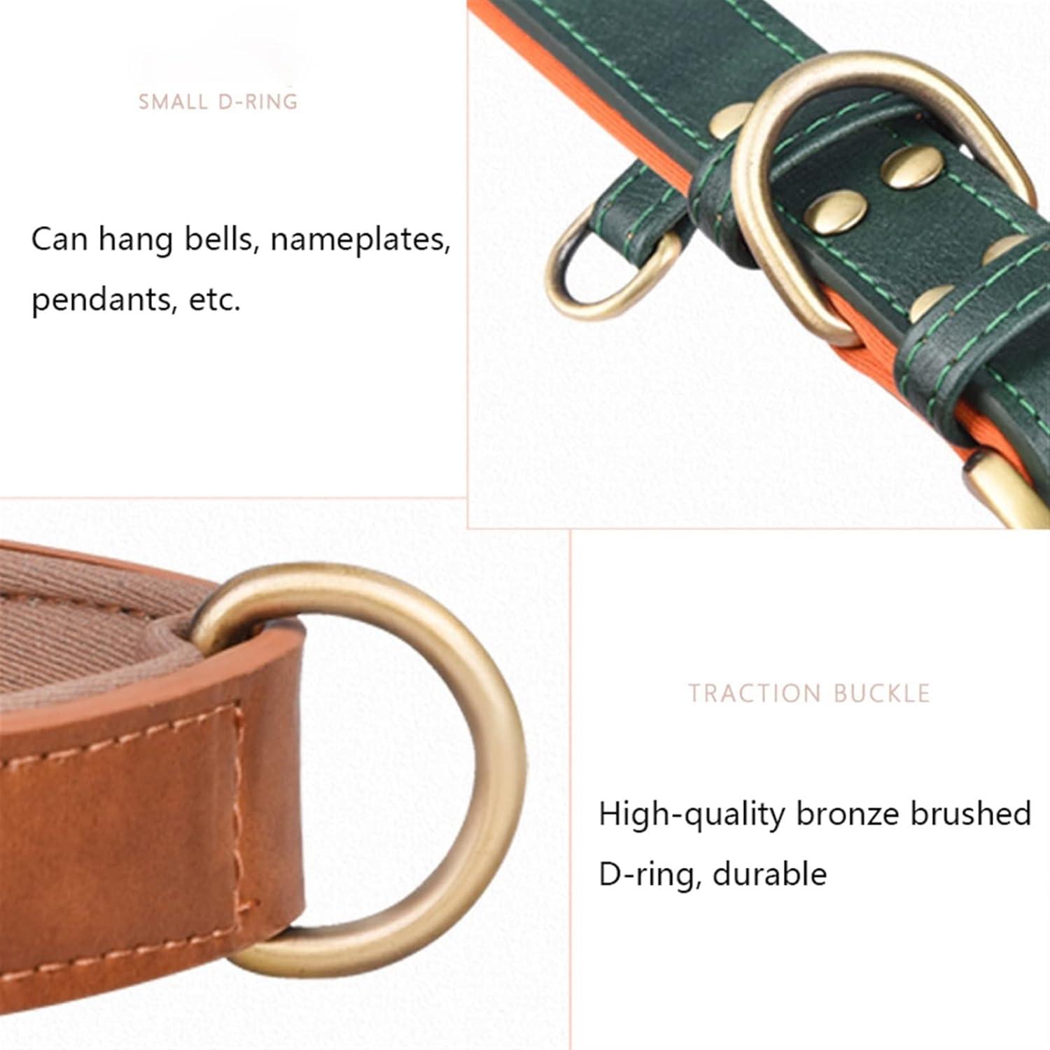 Adjustable Leather Dog Collar – Padded & Durable with D-Ring