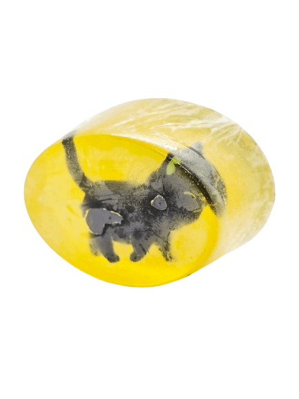 Savon SWIBI - Chat - Parfum Fleur d'Oranger