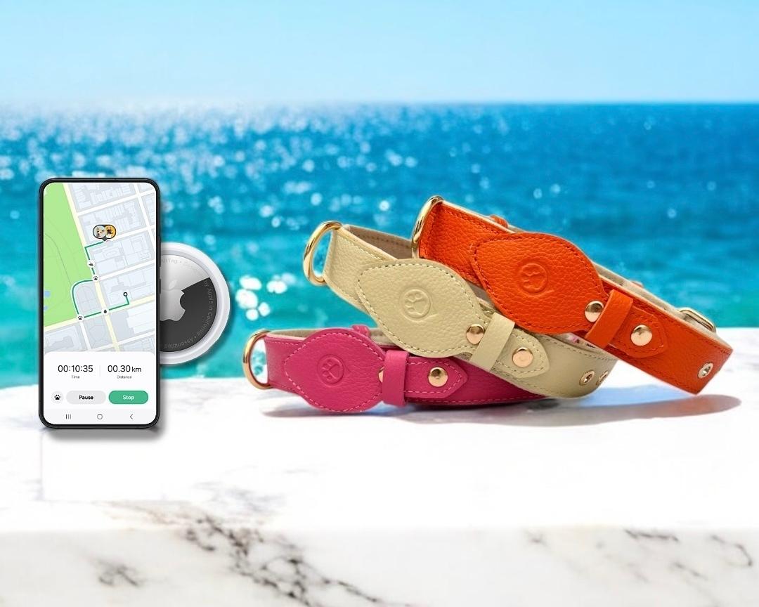 Collier en Cuir compatible AirTag