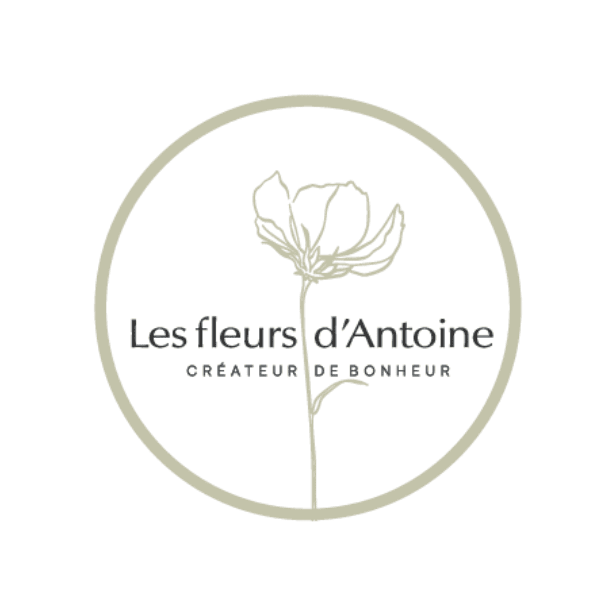 LES FLEURS D'ANTOINE
