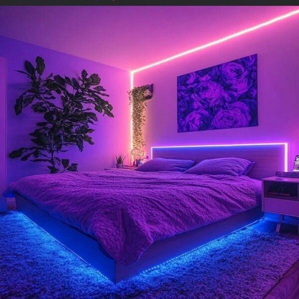 Kit RUBAN LED 24 Wifi RGBIC+CCT Light Strip 5 Mètres.