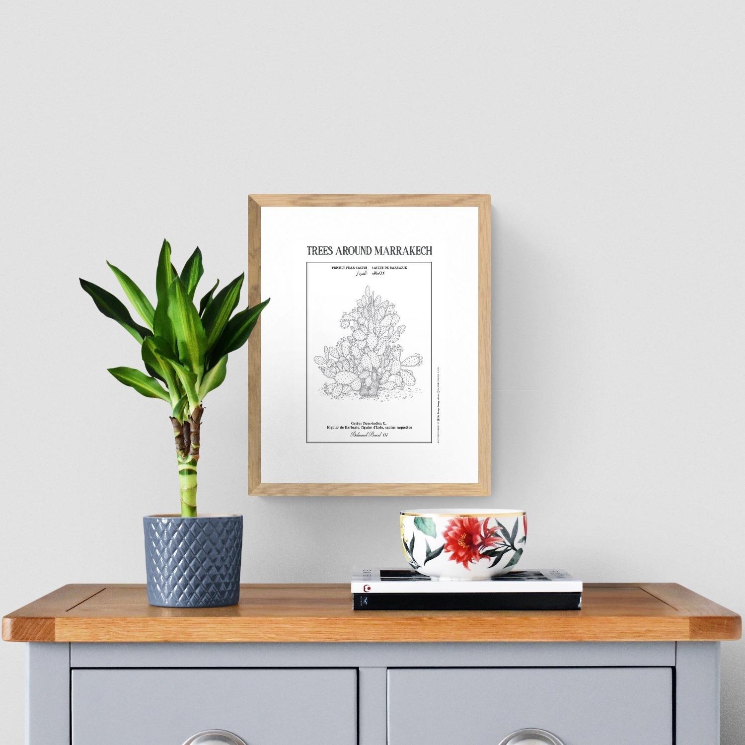 Affiche planche botanique CACTUS