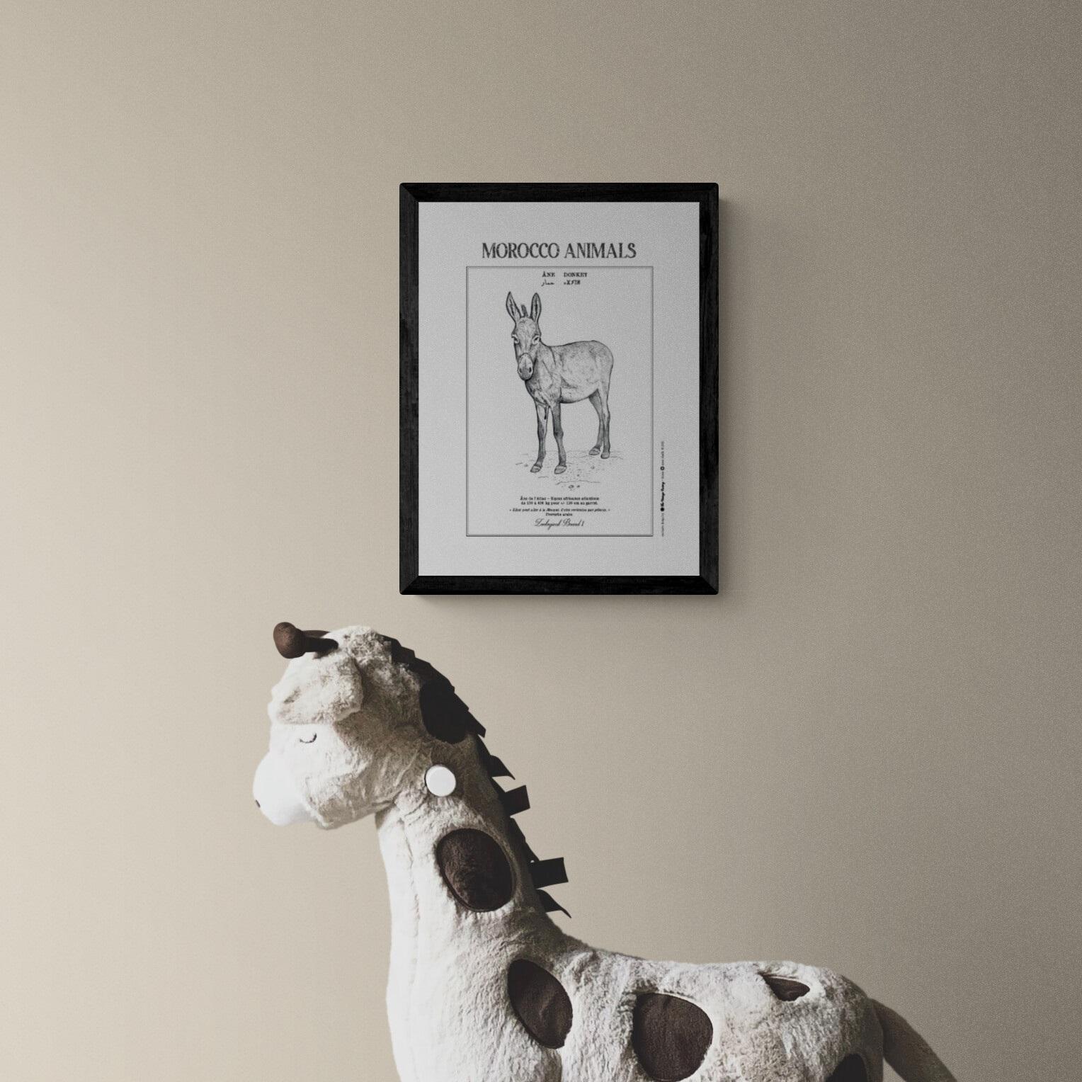 Affiche de la planche zoologique ANE